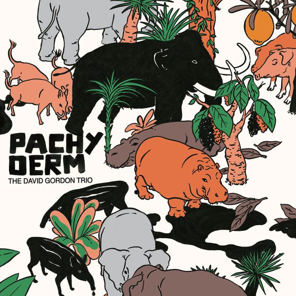 Album cover Pachyderm by David Gordon Trio